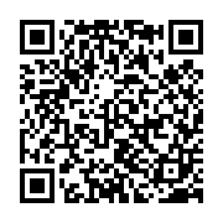 QR code for MDG403