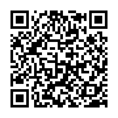 QR code for MEF338