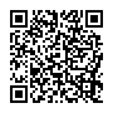 QR code for MEX3771