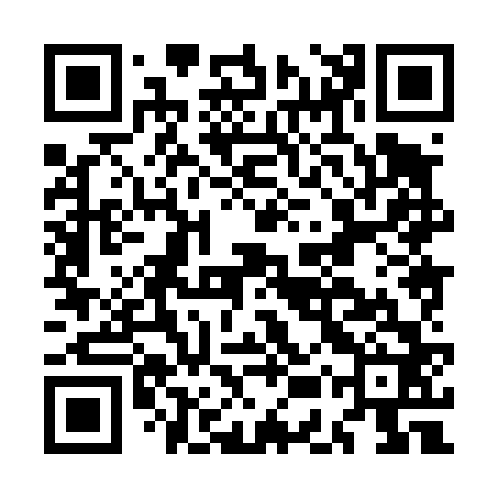 QR code for MEX462