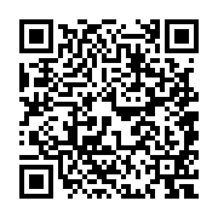QR code for MFV1919