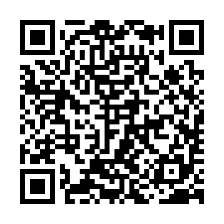 QR code for MIR395