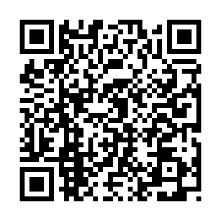 QR code for MJX0226