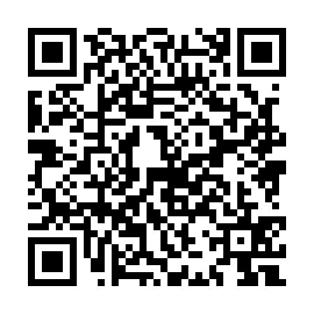 QR code for MJX1352