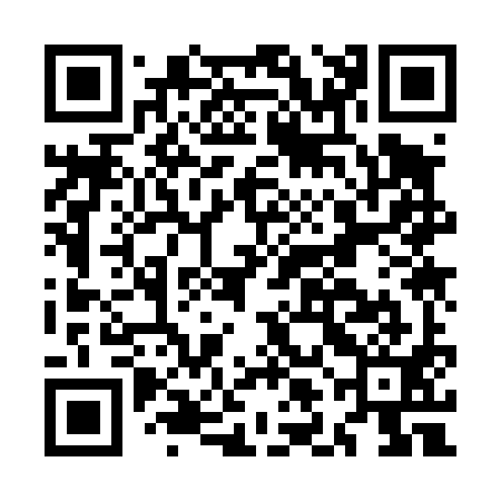 QR code for MLK491