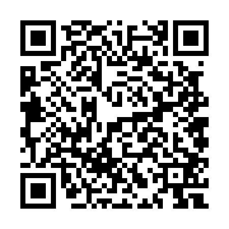QR code for MLV0029