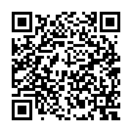 QR code for MMS2951
