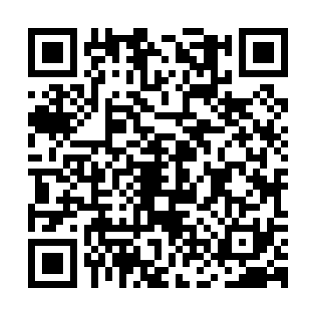 QR code for MNZ0313