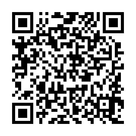 QR code for MPL295