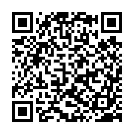 QR code for MPV663