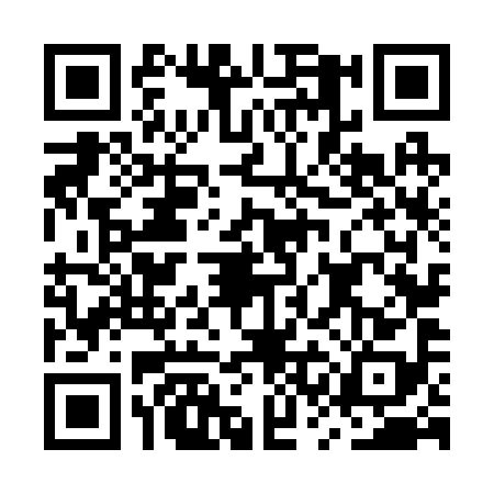 QR code for MSN2988