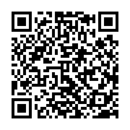QR code for MSP738