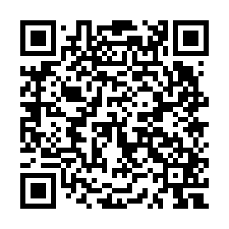 QR code for MSQ641