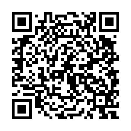 QR code for MSV496