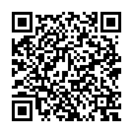 QR code for MVI6228
