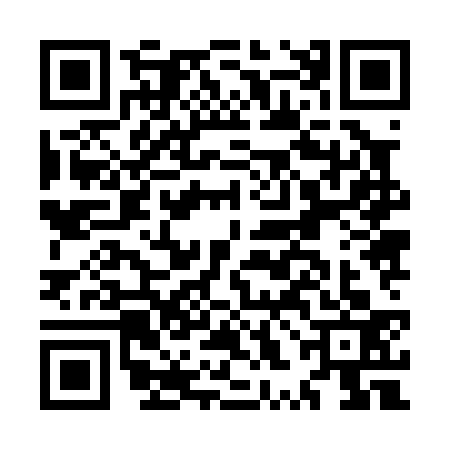QR code for MXJ0336