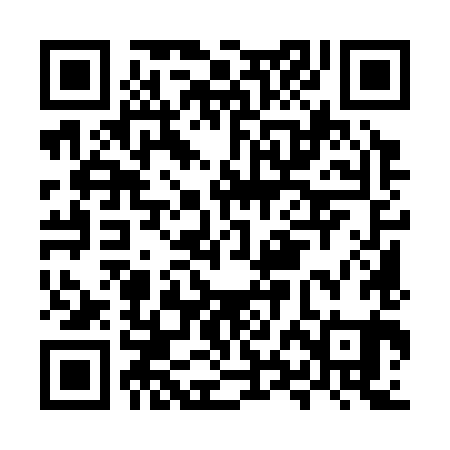 QR code for MXM381