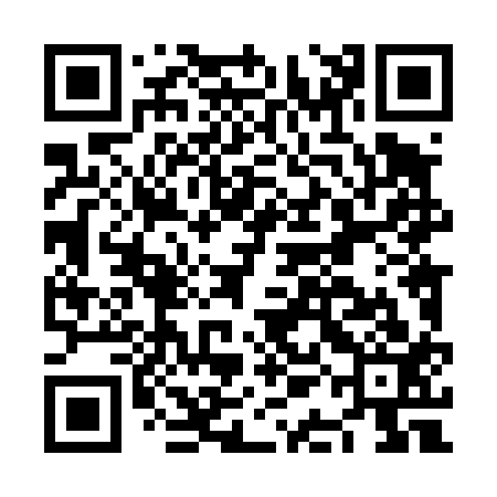 QR code for NAL413