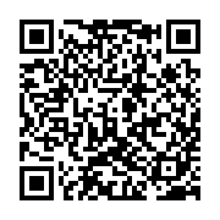 QR code for NDA381