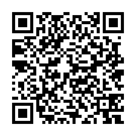 QR code for NDE0381