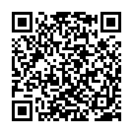 QR code for NDI993