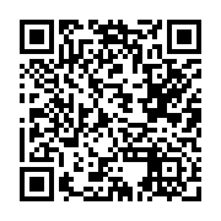 QR code for NEL913