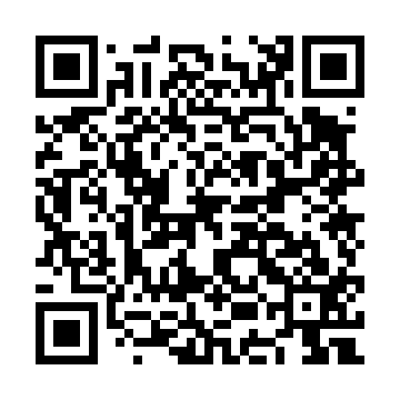 QR code for NEO413