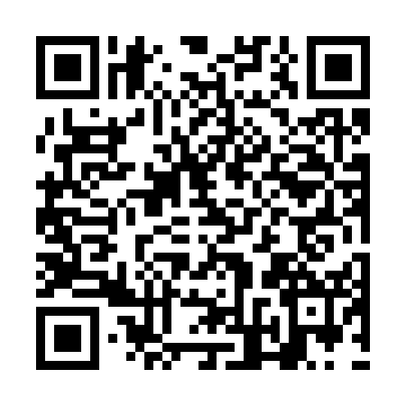 QR code for NFT3529