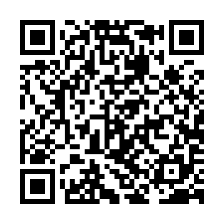 QR code for NFT995