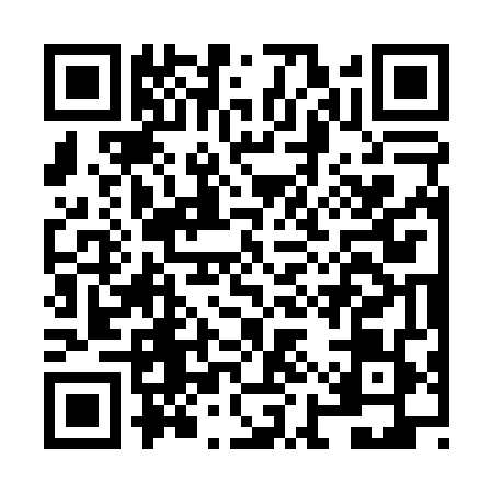 QR code for NIS0491