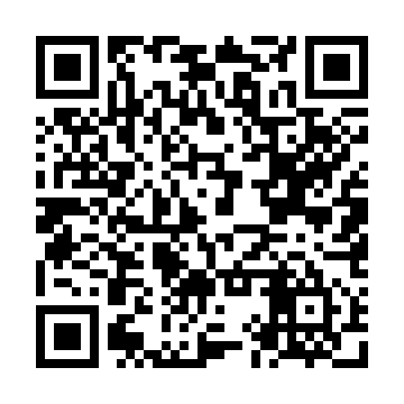 QR code for NIU355