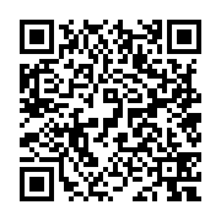 QR code for NKG9399