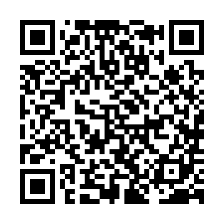 QR code for NKX381