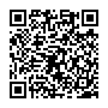 QR code for NNE6739