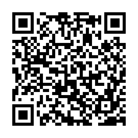 QR code for NNG276
