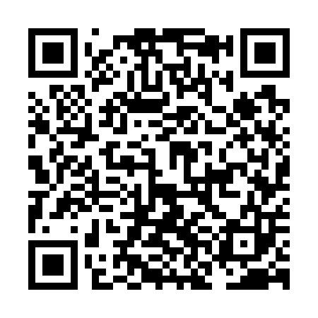 QR code for NNG703