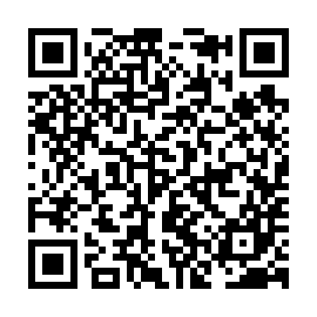 QR code for NNS687