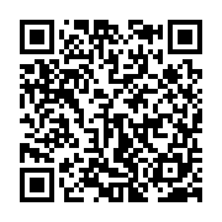 QR code for NOK355