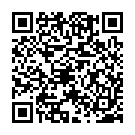 QR code for NPA3938