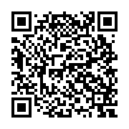 QR code for NPC383