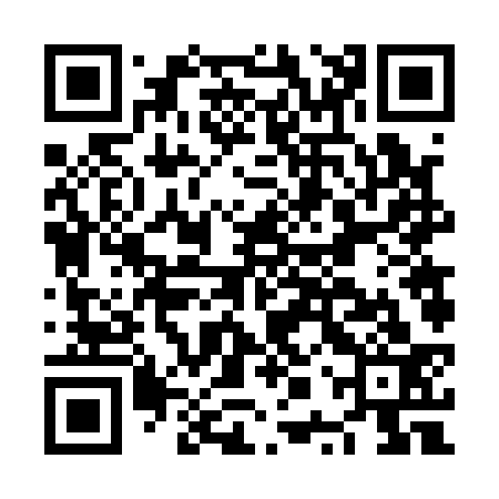 QR code for NPV133
