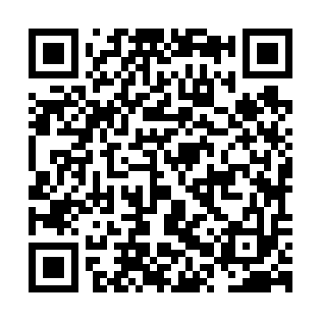 QR code for NPZ613