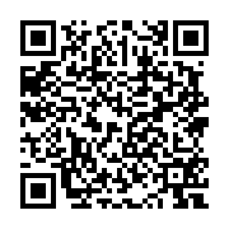 QR code for NQI4541