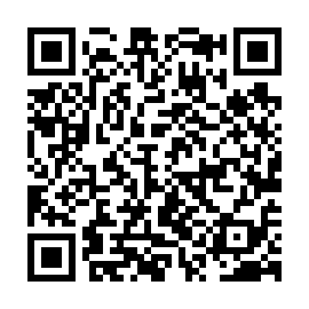 QR code for NQL619