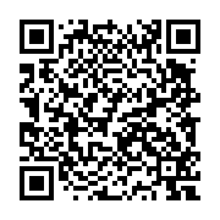 QR code for NSL413