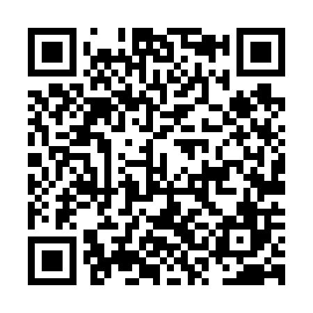 QR code for NSL606