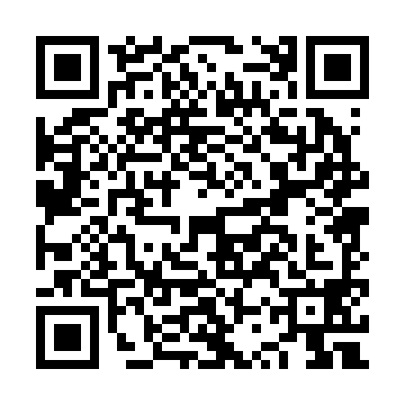 QR code for NSP2987