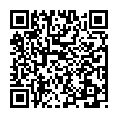 QR code for NUR9530