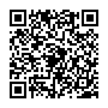 QR code for NXN0739