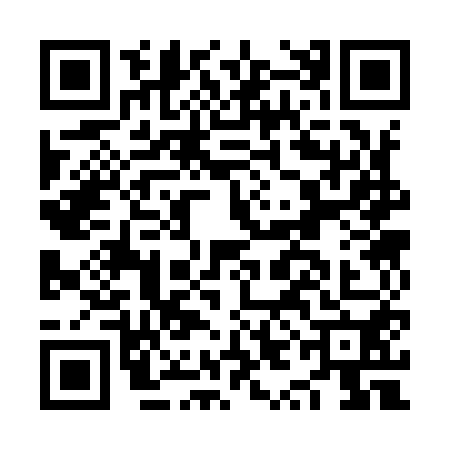 QR code for NYC9506